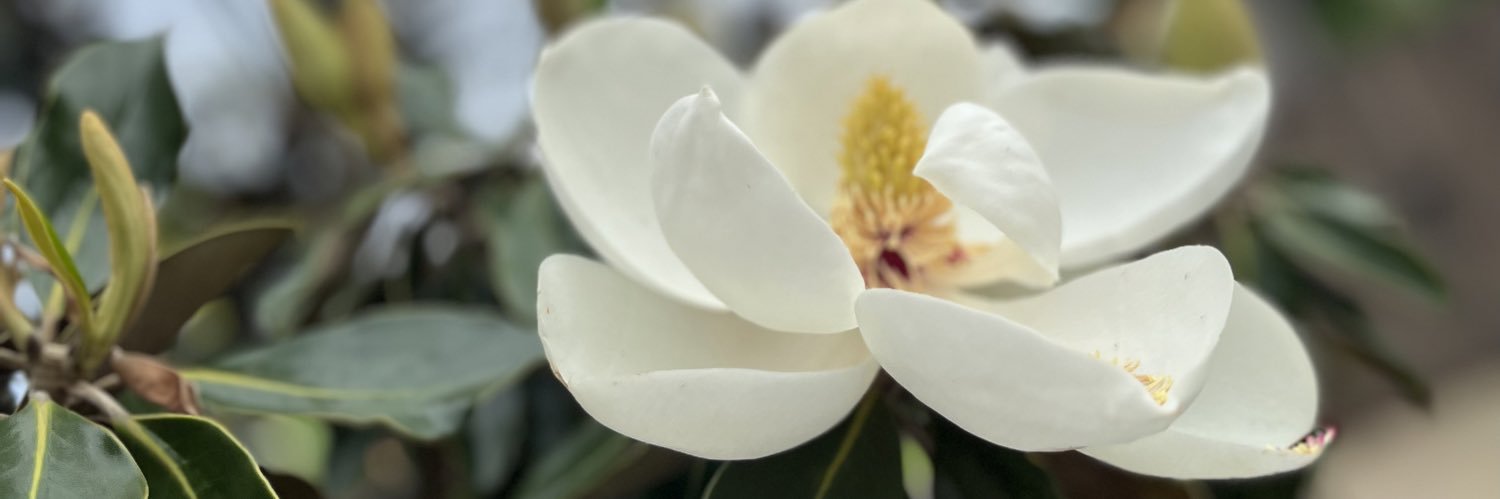 Kay Evonne ✨ banner