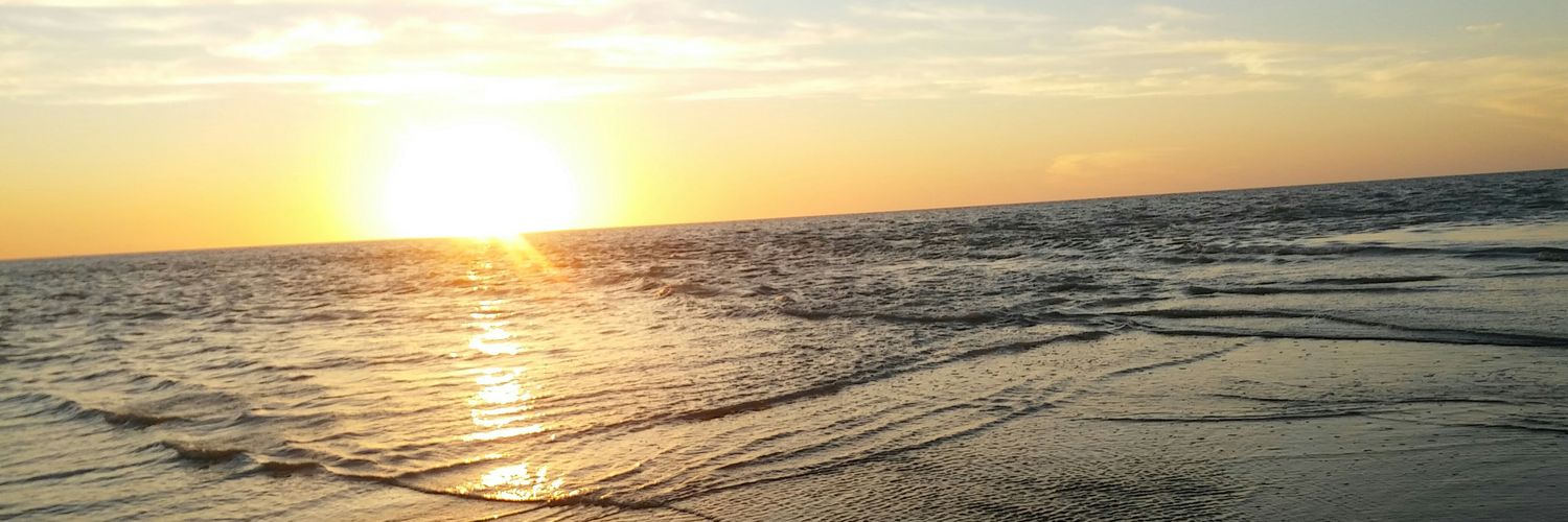 vaninamariana's profile banner image