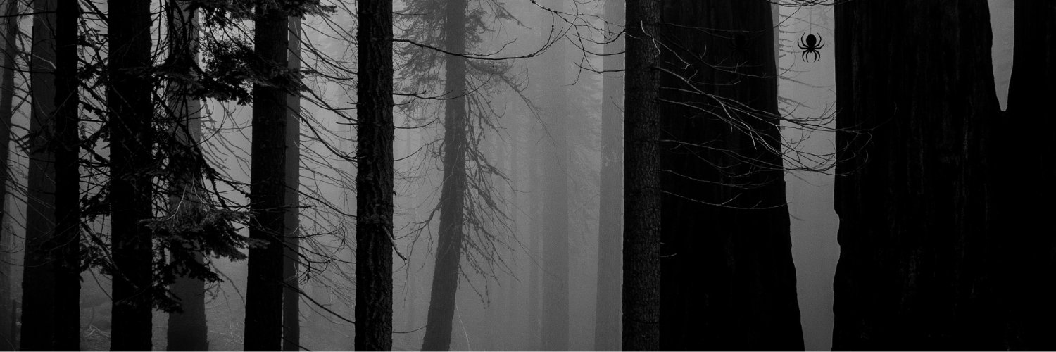 Daniela Silcock banner