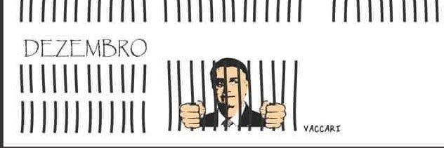 Fernanda Pinto banner