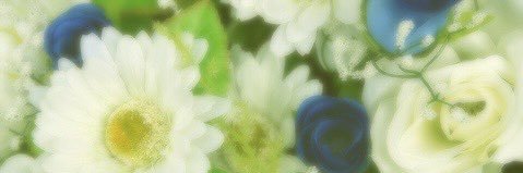 リハ banner