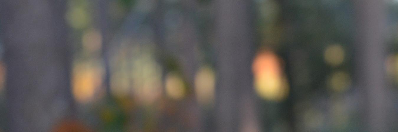 BjarnoBe's profile banner image