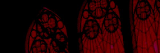 morcher33's profile banner image