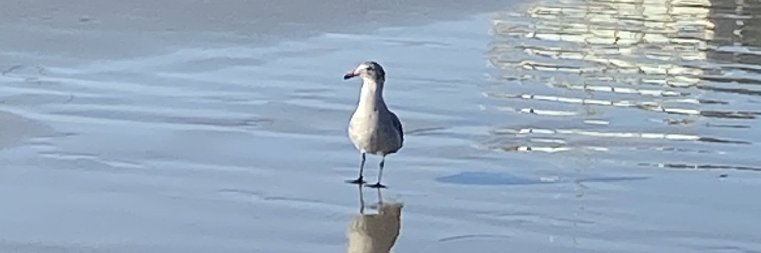 L.C. bka Monee banner