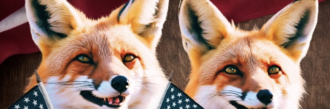 Freedom Foxes CO@freedomfoxesco banner