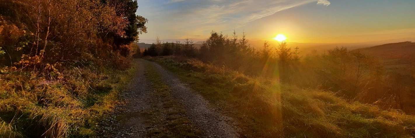 🎼SUSAN🌼📚☕🏍️ banner