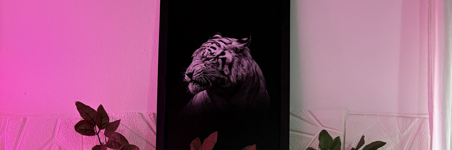 dpascalok_'s profile banner image