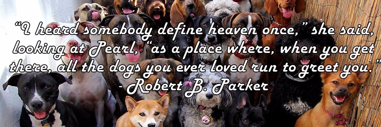 Life With Dogs banner