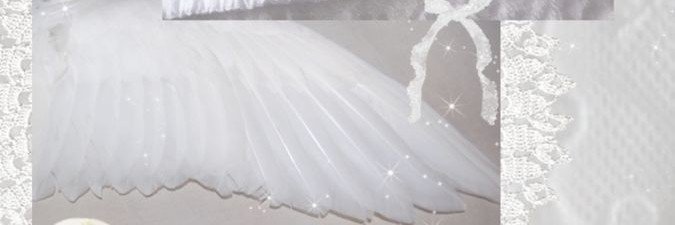 doll2swan's profile banner image