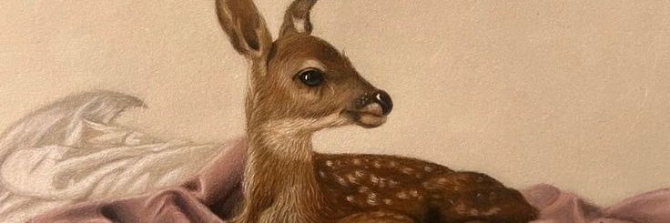 هاد✨ banner