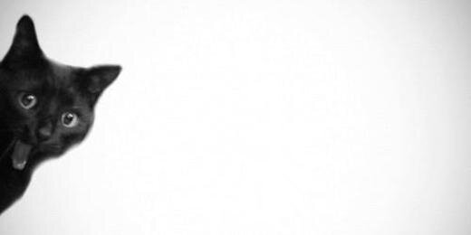 iiKamy's profile banner image