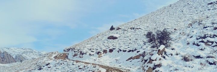 فاطمه کمالی|🕊's banner
