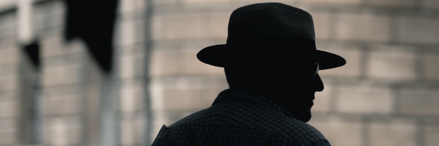 Meme Detective's banner