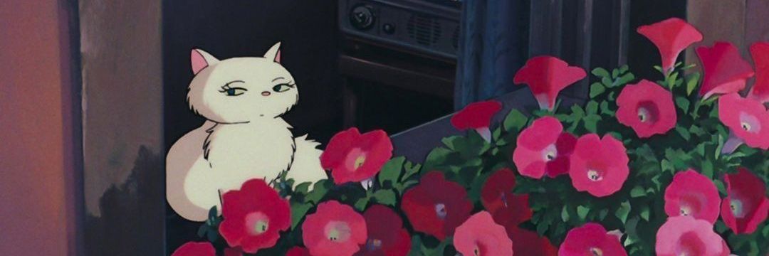no0neneedu's profile banner image