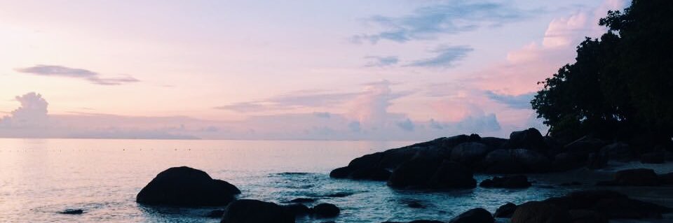 JenisaNguyen's profile banner image