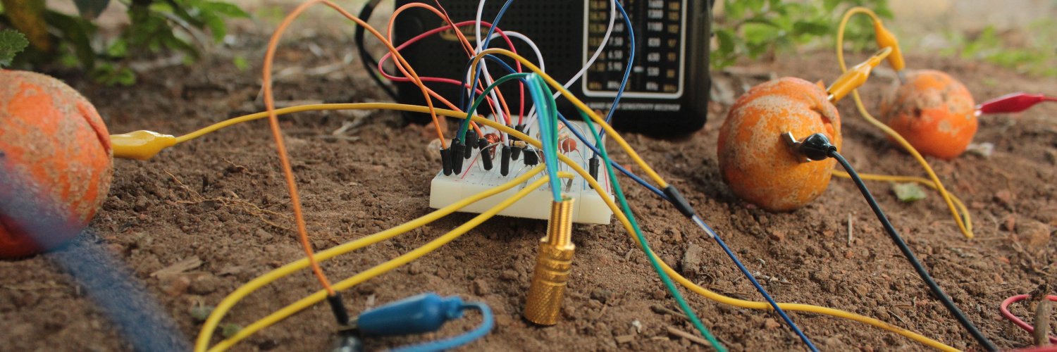 Paloma Oliveira banner