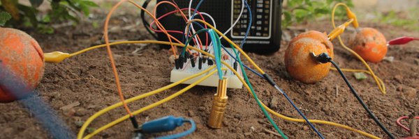 pcultural Profile Banner