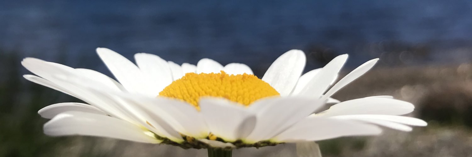 JuliManso's profile banner image