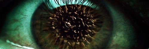 vix 🩸🕸️ banner