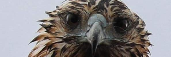 momocrackcorp's profile banner image