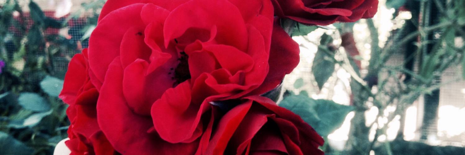 ValeFernandezQ's profile banner image
