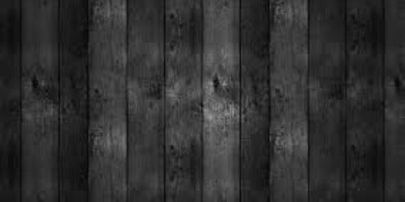 licha_pesek's profile banner image