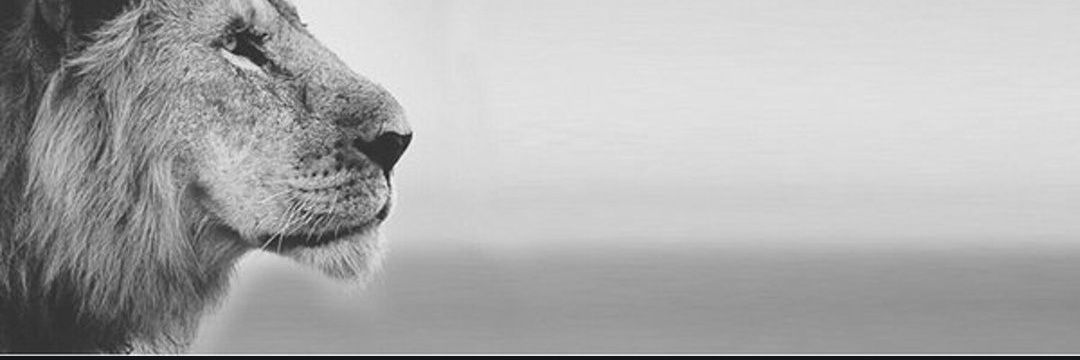 jimmlovesyou's profile banner image