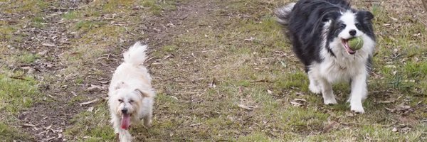 Rod_Hagen Profile Banner