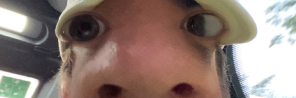 EmileGoeminne1's profile banner image