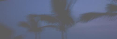 ZEFF_PERKINS's profile banner image