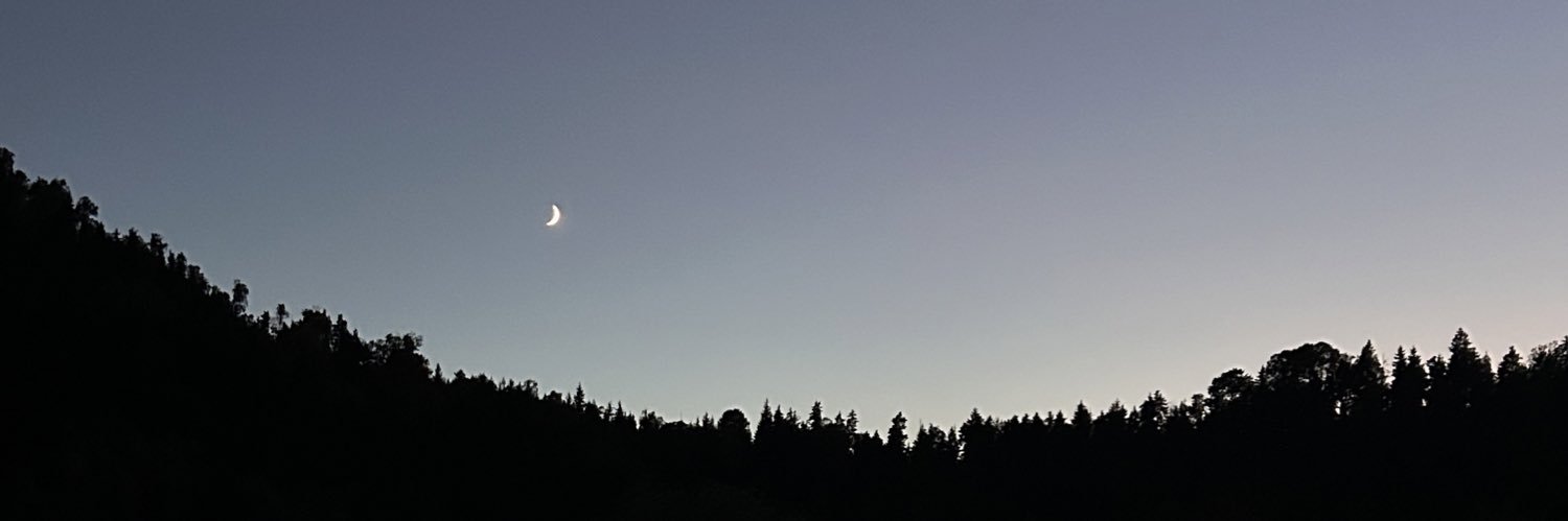 YoussefElSa3ed's profile banner image