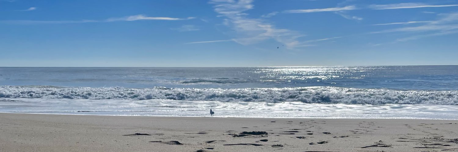 Sailor Moon Face 😘 banner