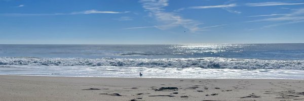 TooXquisite Profile Banner