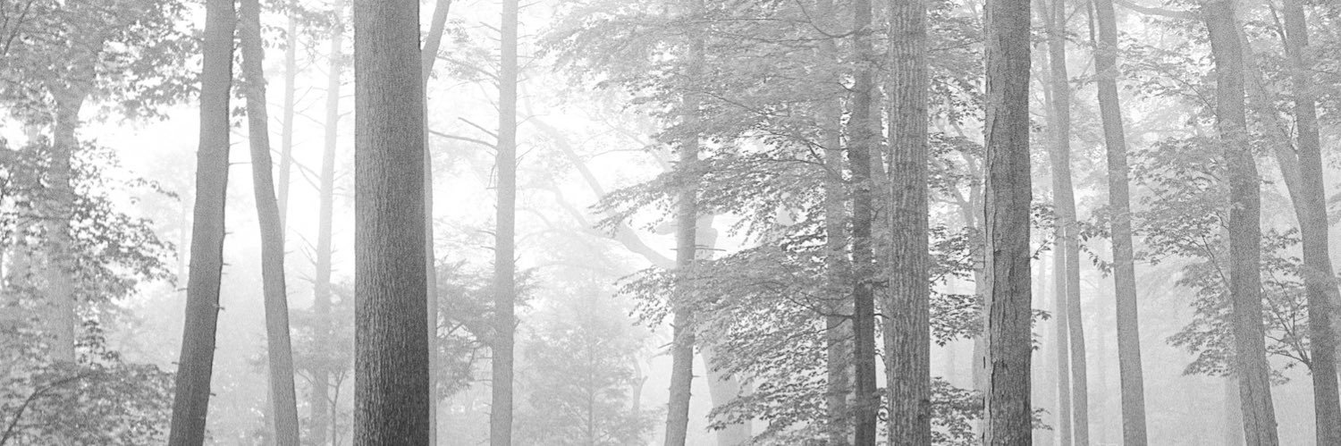 monotonialex's profile banner image