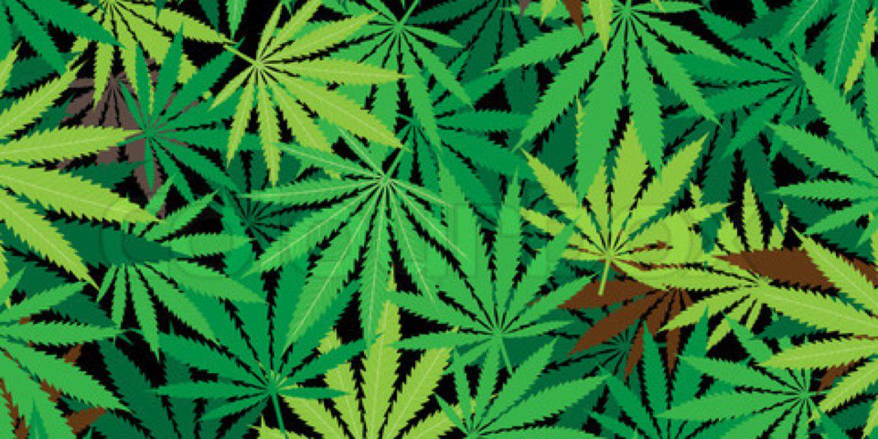 SmarkStoner's profile banner image