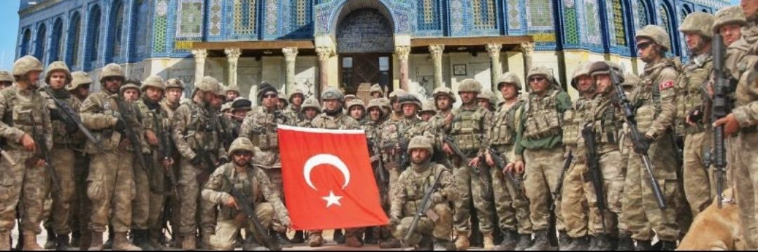 fibula🇹🇷🇵🇸 banner