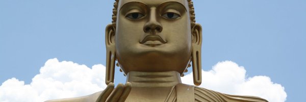 edbrewster Profile Banner