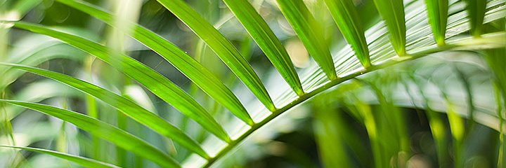 The 'Good Tourism' Blog banner