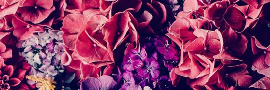 CandeLuciani's profile banner image