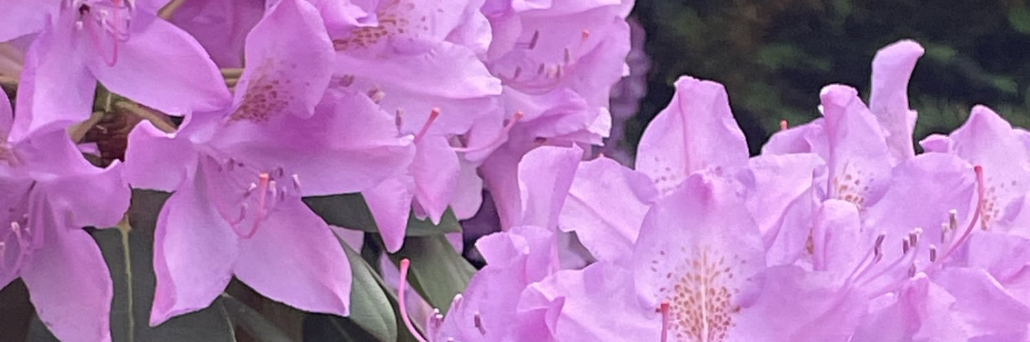 brittany 🔞✨ banner