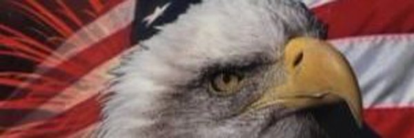 RobbieA45578 Profile Banner