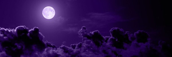 tszoee Profile Banner