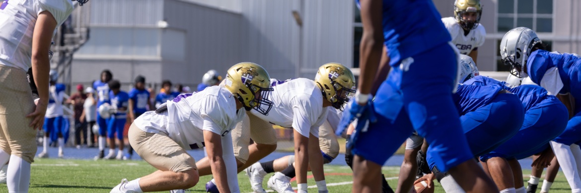 Francesco Diaz banner