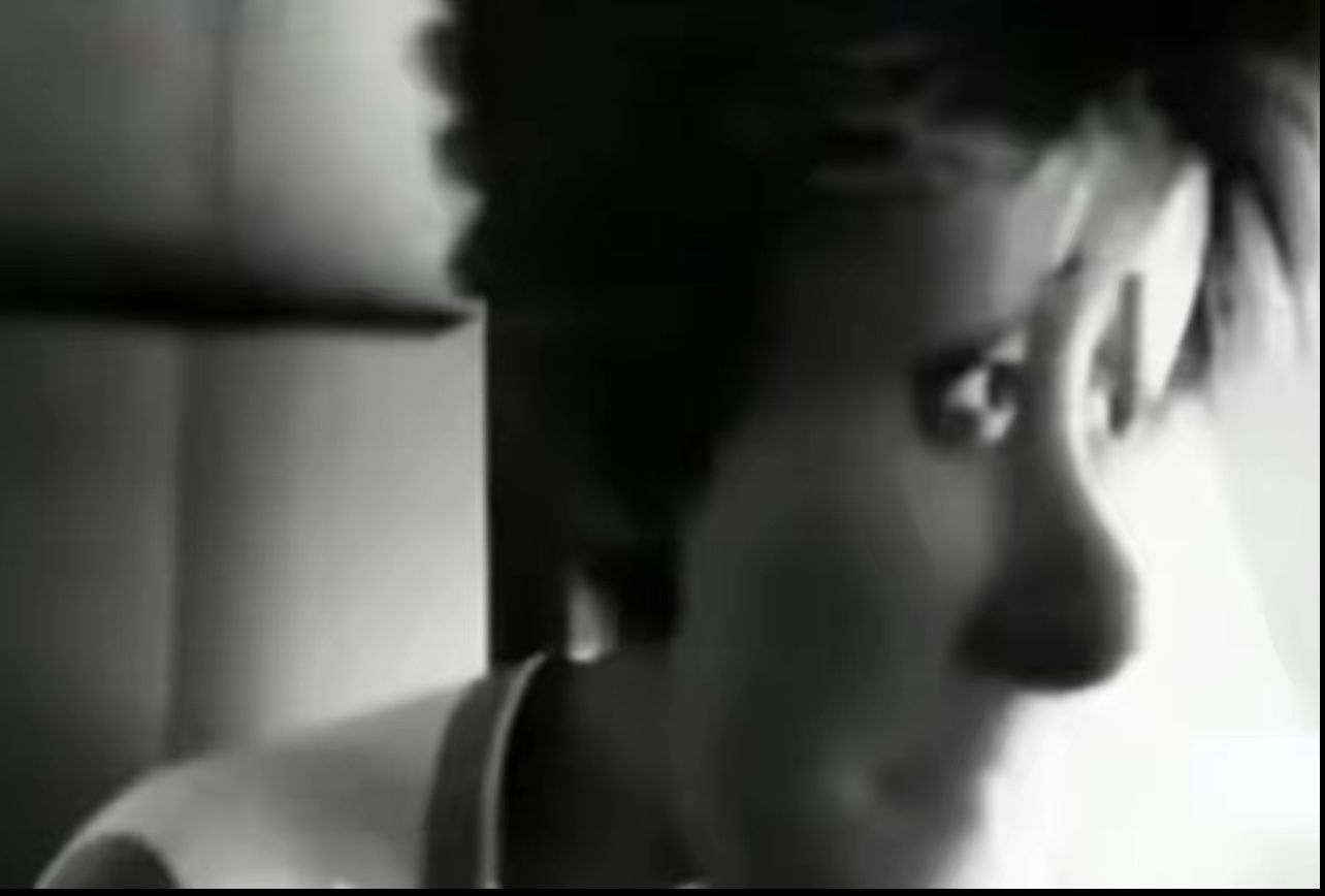 SHED HATES SWOCKET banner