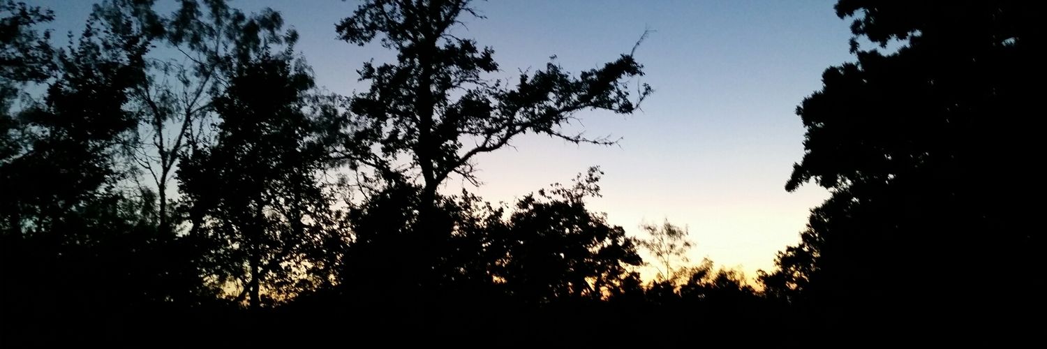 magda9393's profile banner image
