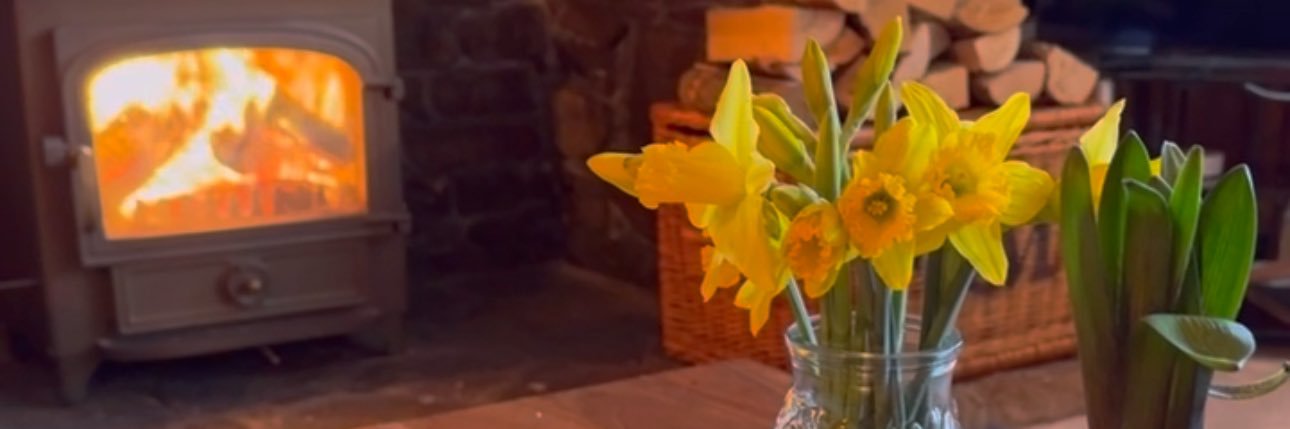 Steph🇯🇪 banner