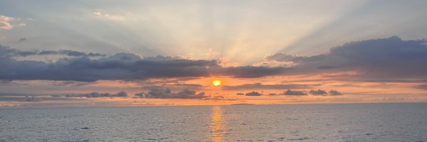 zilantro12 Profile Banner