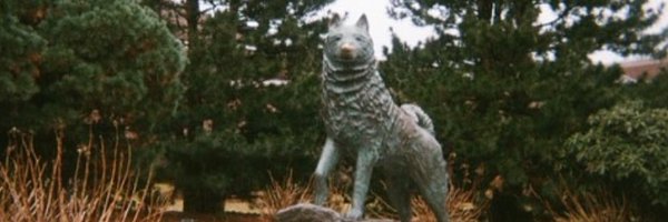 avagutterson1 Profile Banner