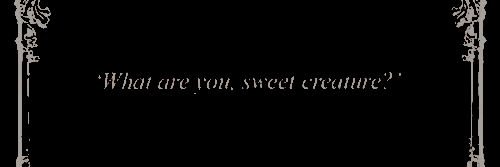 𝓗𝐞𝐚𝐭𝐡𝐞𝐫 𝓕𝐚𝐢𝐫𝐜𝐡𝐢𝐥𝐝 banner