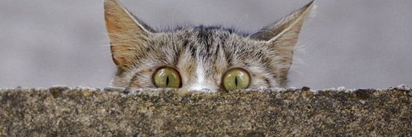 Akruidhof00 Profile Banner